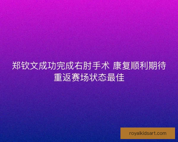 郑钦文成功完成右肘手术 康复顺利期待重返赛场状态最佳