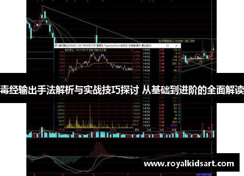 毒经输出手法解析与实战技巧探讨 从基础到进阶的全面解读